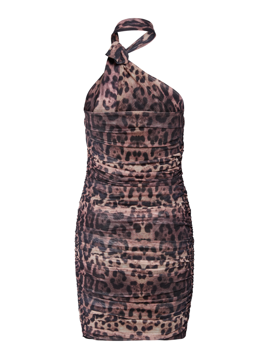 pack_shot-back